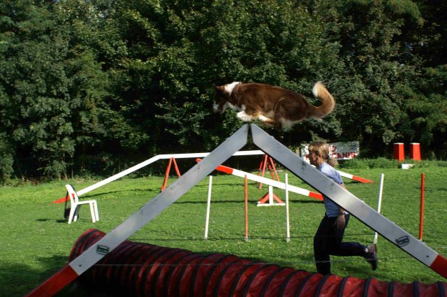 agility 2011-08